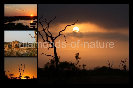 Collage Sonnenuntergang Afrika / Collage Sundown Africa